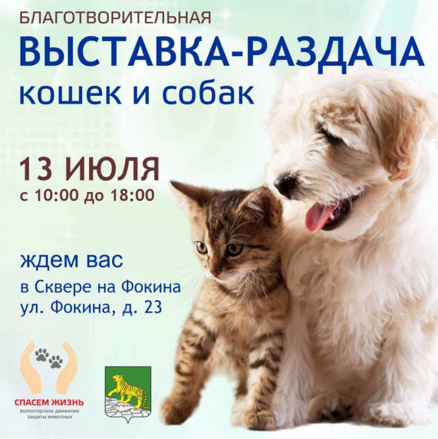 Выставка-раздача и фотовыставка животных состоятся во Владивостоке