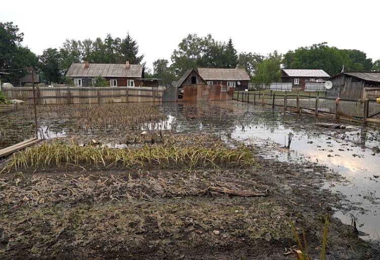 Приморцы, пострадавшие от наводнений, могут получить компенсацию за ущерб