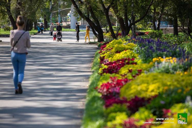 Владивостокцы могут предложить идеи по развитию общественных пространств