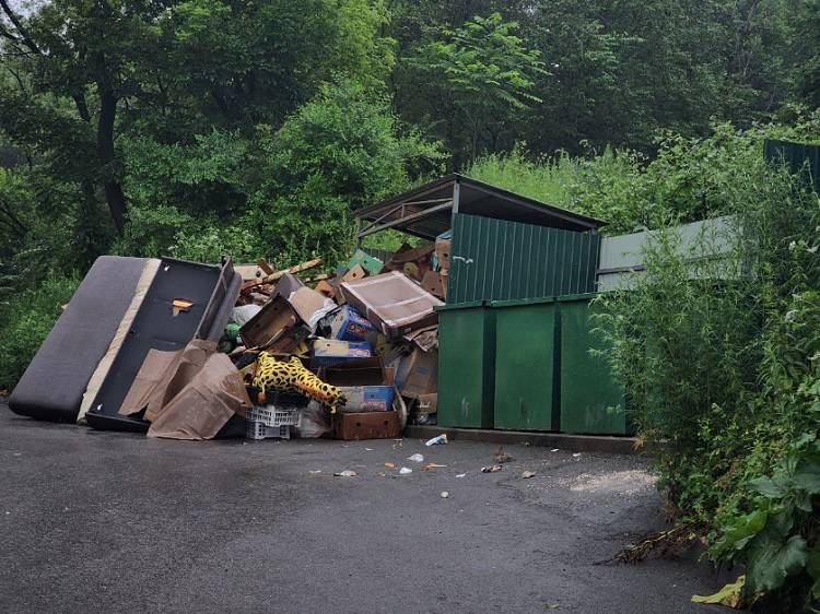 «Это позорище»: владивостокцы жалуются на стихийную свалку во дворе дома