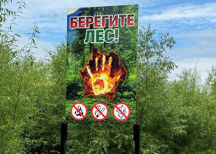 Таблички «Берегите лес» устанавливают в местах отдыха во Владивостоке