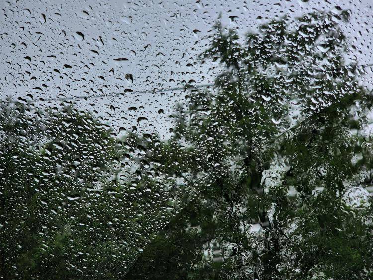 Дожди наблюдаются в Приморье