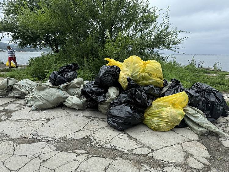 Экологическая акция по сбору мусора прошла на побережье в районе Фанзавода