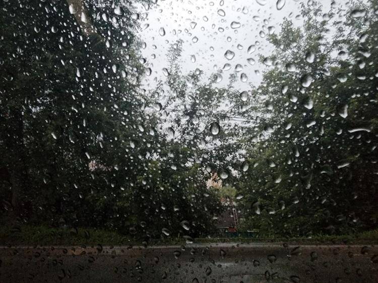 Дожди накроют Приморье
