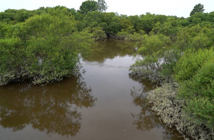 Уровень воды падает на реках Приморья