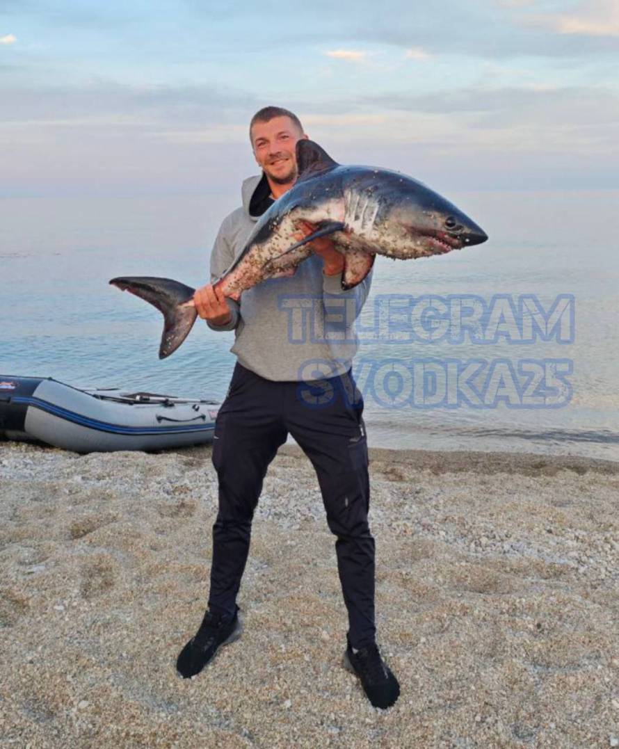 Акула попалась на крючок приморских рыбаков