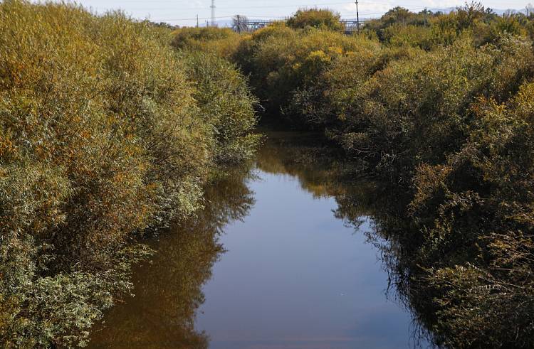 Уровень воды в реках стабилизировался в Приморье