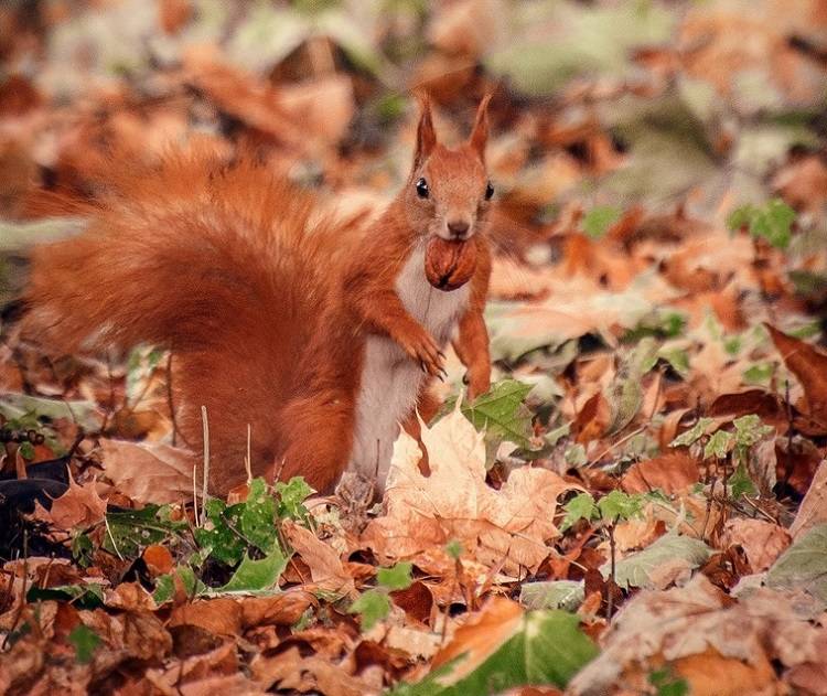 Ночные морозы ожидаются в Приморье в эти выходные