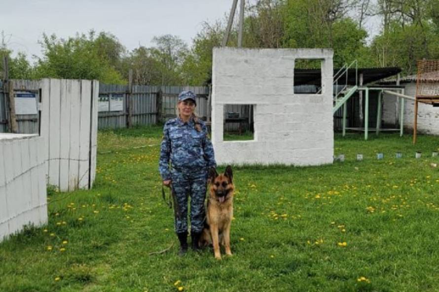 В ИК-22 пытались подкинуть подозрительный пакет в Приморье