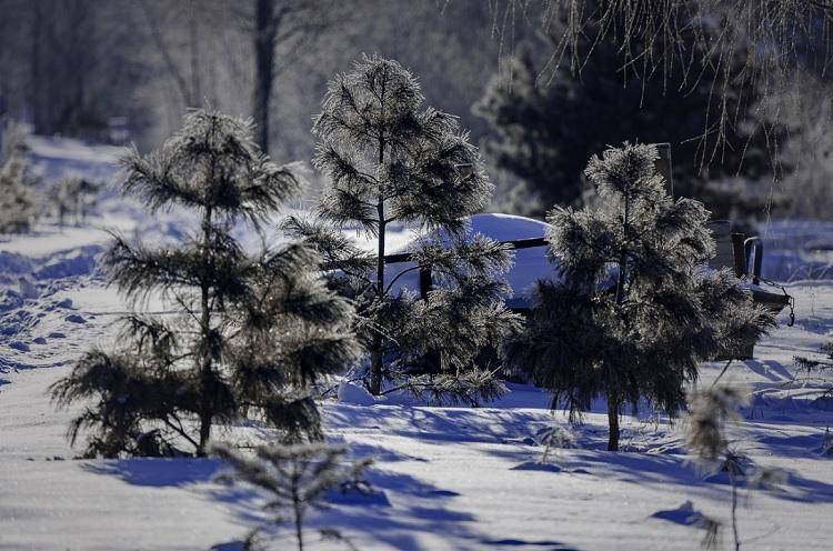 Во Владивостоке небольшой снег, -6°C