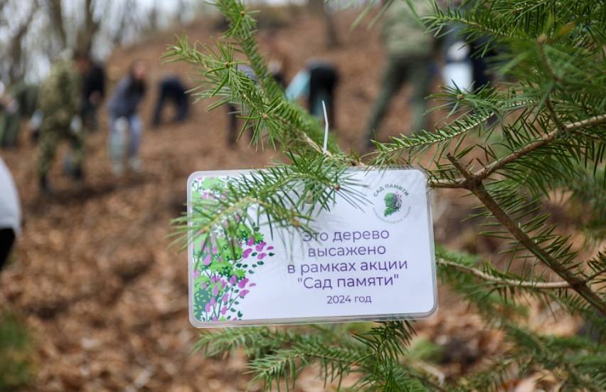 В честь 80-летия Великой Победы в Приморье разобьют «Сады памяти»