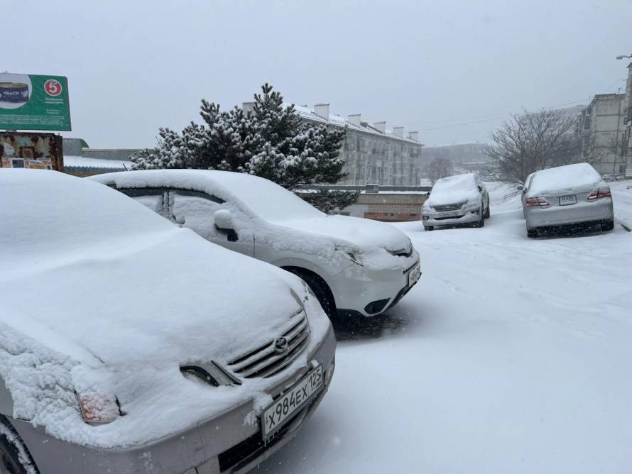 Во Владивостоке без осадков, -8°C