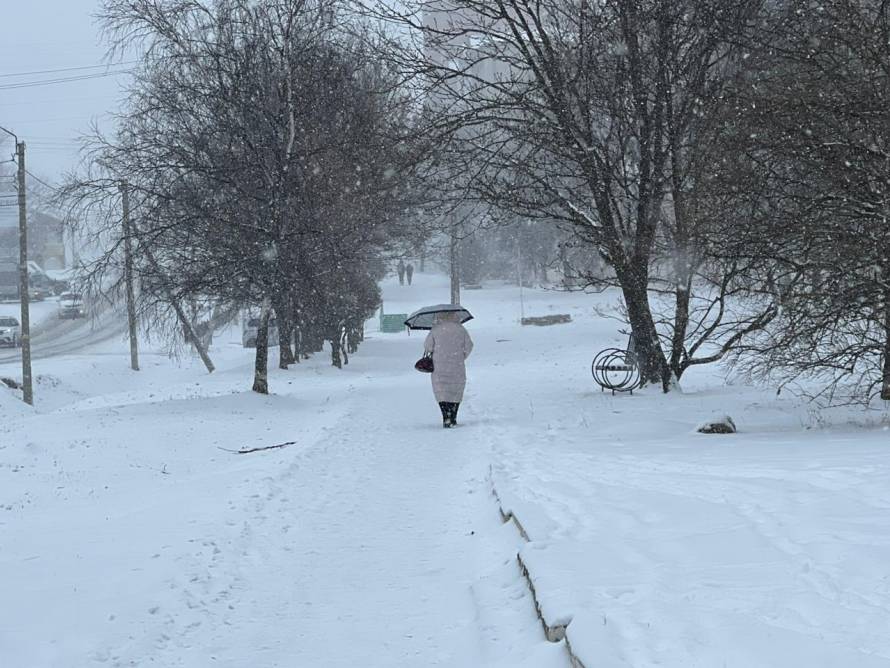 За сутки в Приморье выпала почти месячная норма осадков