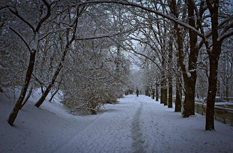 Во Владивостоке небольшой снег, -6°C