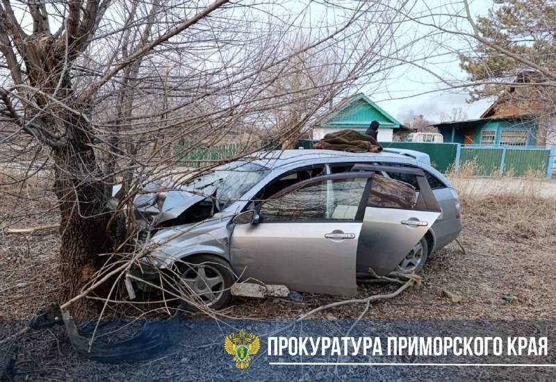 Мужчина погиб в результате столкновения автомобиля с деревом в Приморье