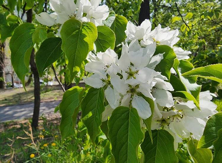 Теплый и дождливый: какой был май в Приморье