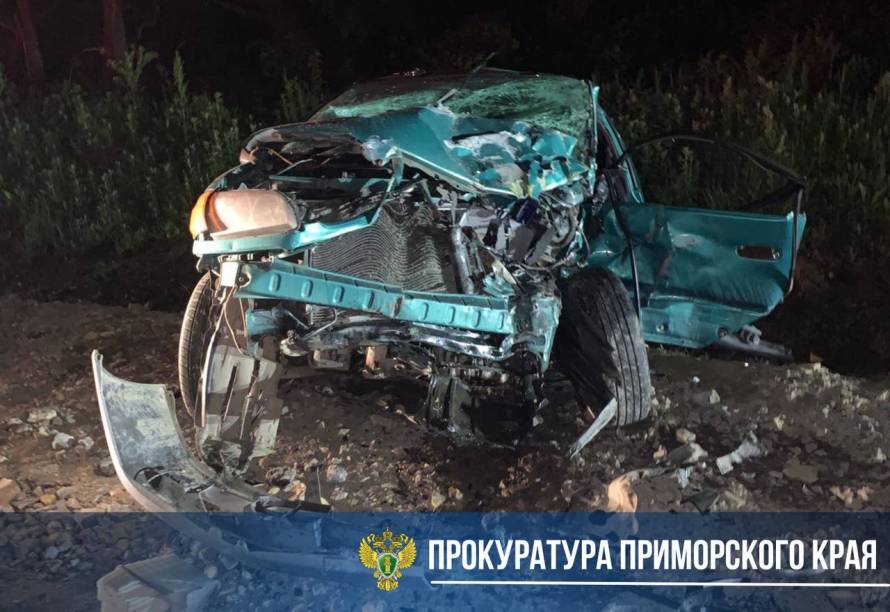 Уголовное дело возбуждено после ДТП с пострадавшими детьми в Приморье