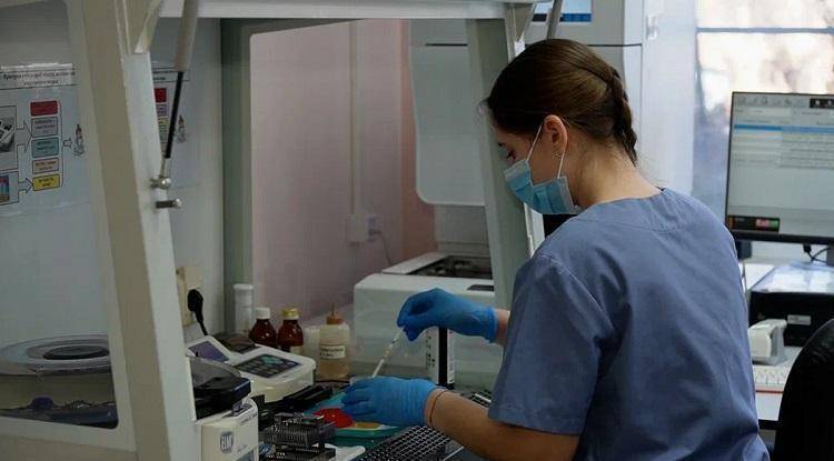 От Владивостока до Находки: в Приморье зафиксированы клещевые инфекции