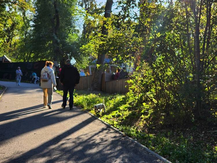 Где владивостокцы познакомились со своей второй половиной: опрос