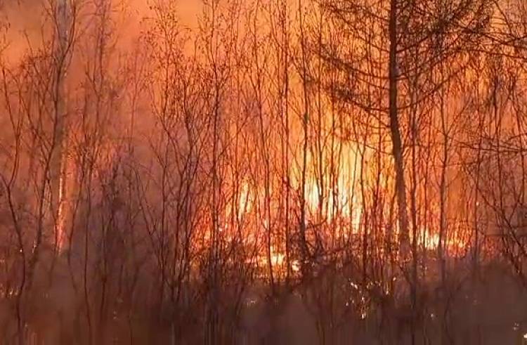 75 специалистов из Приморья тушили пожары в Забайкалье