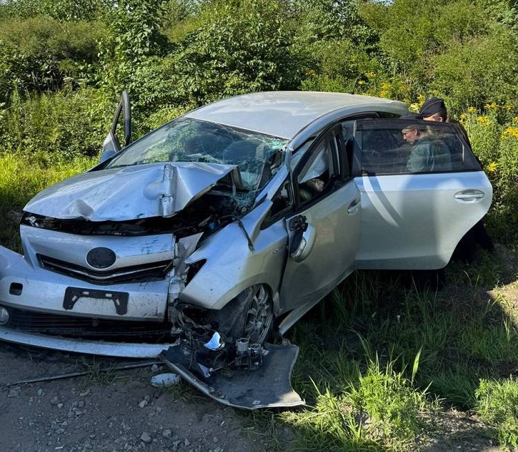 Двое детей пострадали в аварии в Надеждинском районе Приморья