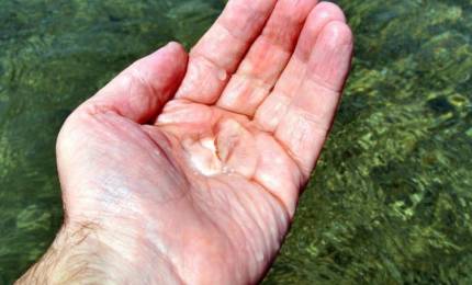 thumb_547219_news_xxxl.jpg