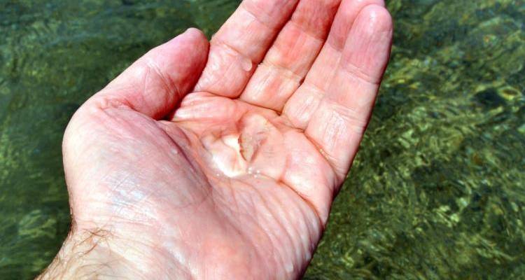 thumb_547219_news_xxxl.jpg thumb_547219_news_xxxl.jpg