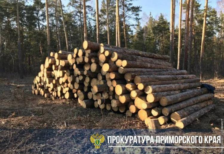 В Приморье направлено в суд дело о контрабанде леса на 51 млн рублей