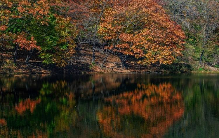 Осенняя погода настигла Приморье: температура воздуха понижается