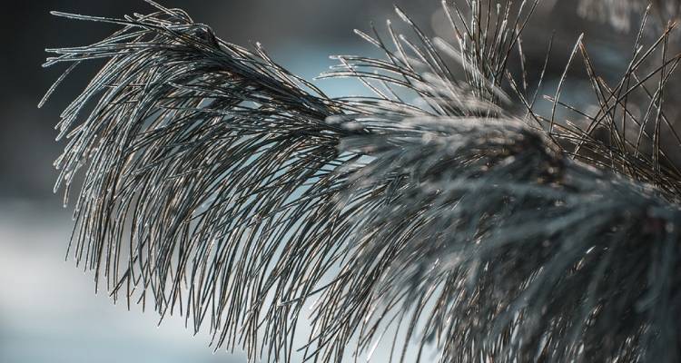 f6a609e72293406be26ff375faefcef1c07dafe9.jpeg f6a609e72293406be26ff375faefcef1c07dafe9.jpeg