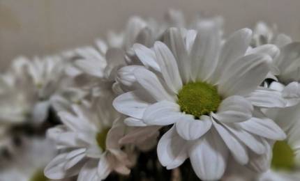 9d767112a696f661a6cbdb1ab5404b1be27b8689.jpeg