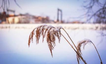 a6c6d2cee095272943833ac4979fd99dfc082d2f.jpeg a6c6d2cee095272943833ac4979fd99dfc082d2f.jpeg