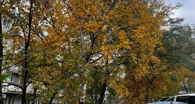 418fc2efa37cafc9490e6f73aeb1771b499fe726.jpeg 418fc2efa37cafc9490e6f73aeb1771b499fe726.jpeg