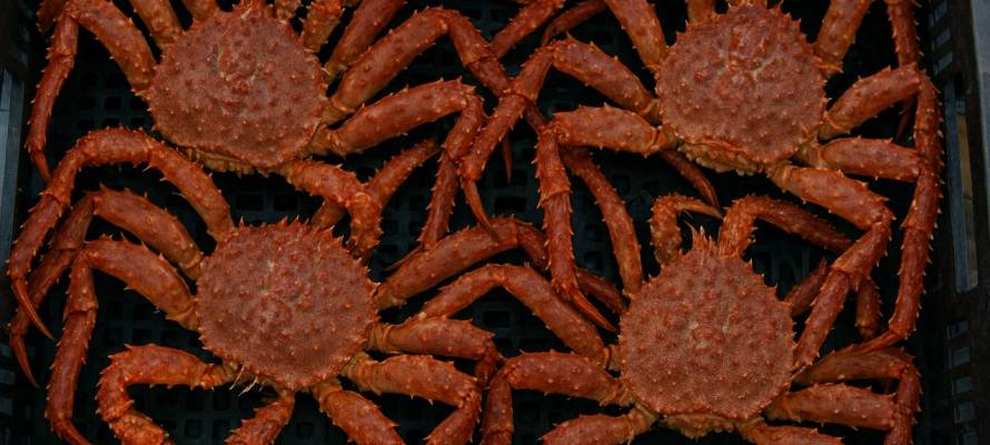 85209a4850aad940cf80cc399b1e0a010ce8f7db.jpeg 85209a4850aad940cf80cc399b1e0a010ce8f7db.jpeg