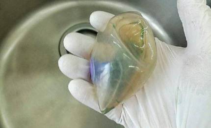 981cad3e4a3669a7f141a3d88909a78b0a7f45a5.jpeg 981cad3e4a3669a7f141a3d88909a78b0a7f45a5.jpeg