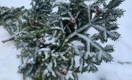 0d758ba8ccb9b39142fe0d470c534f5d60c1506d.jpeg 0d758ba8ccb9b39142fe0d470c534f5d60c1506d.jpeg