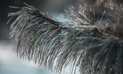 abce1e7c75e127fb3884a8eca0342c8291b75f76.jpeg abce1e7c75e127fb3884a8eca0342c8291b75f76.jpeg