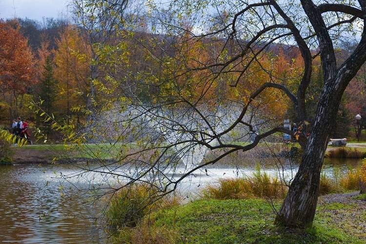Во Владивостоке небольшая облачность, +7°С