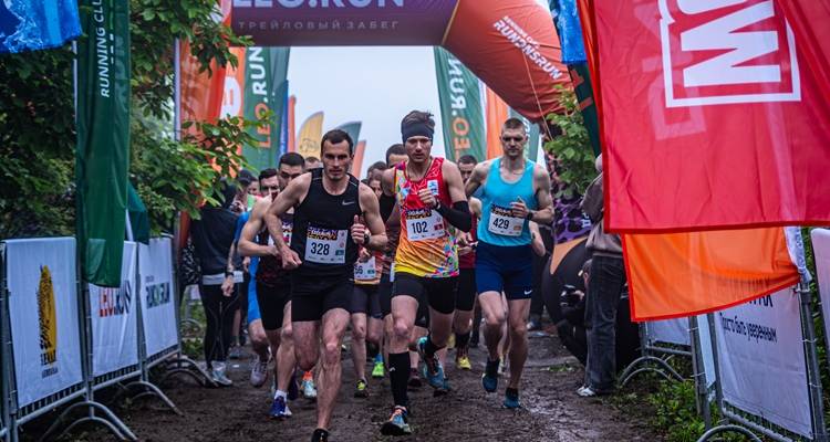 IMGP9172-Улучшено-Ум. шума.jpg