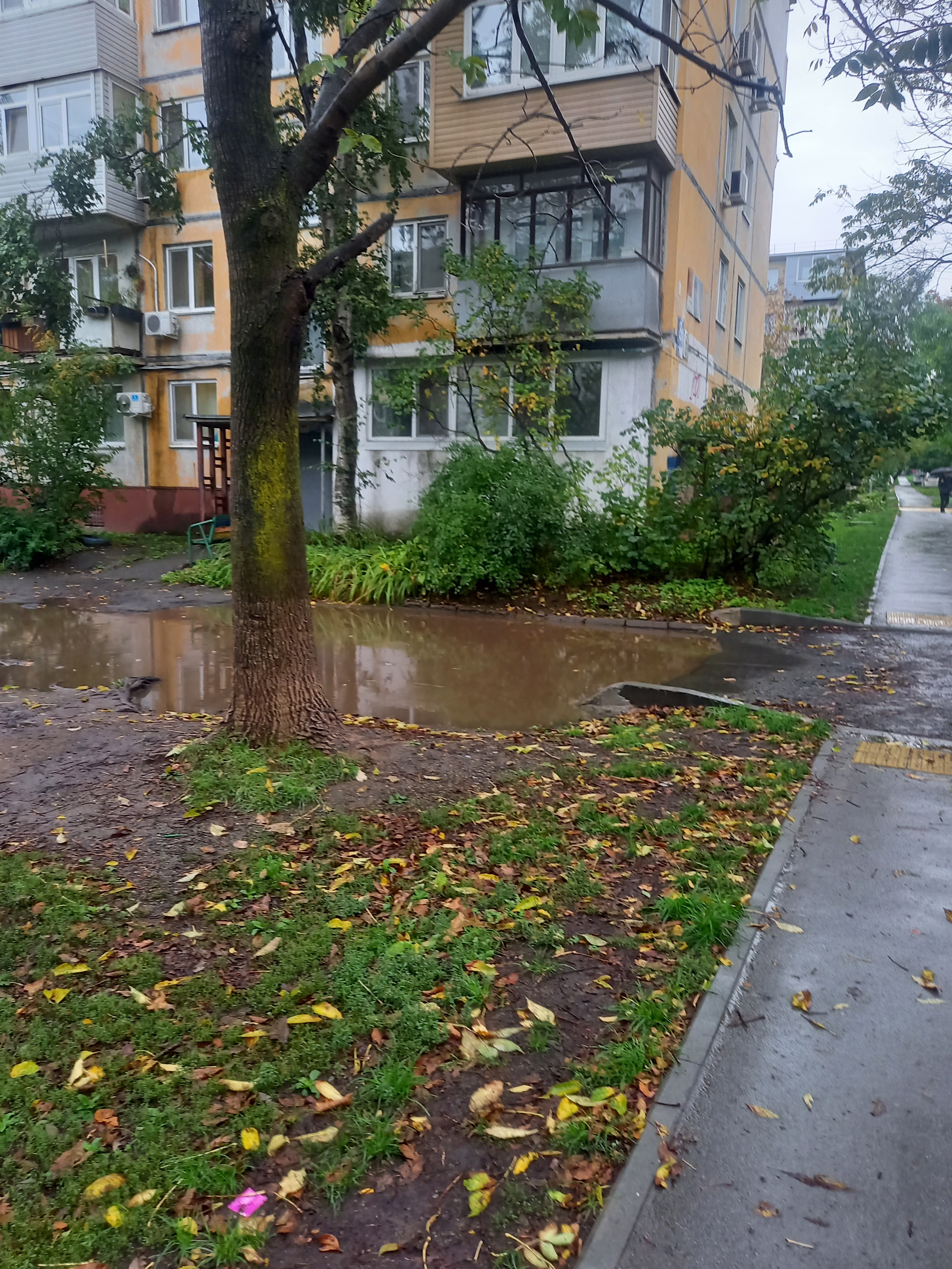 Пройти двор. Владивосток дворы. Владивосток улицы двор. Фотография двора. Владивосток дворы 2000.