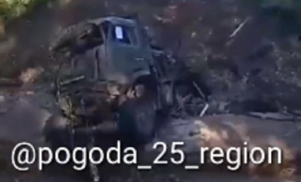 35a4d6cdab8897550aad11ae386f75889c8a10d3.png