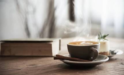 66a8d65d831e6fab69006c1c3ec9b9243ae24941.jpeg 66a8d65d831e6fab69006c1c3ec9b9243ae24941.jpeg