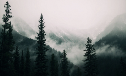 9a2227e96b1f73fdb1fb193f2b3f39f092c5b84b.png