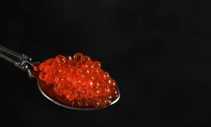 5f315d01bf38ea60a43c24aa226d694d196e9a1d.jpeg