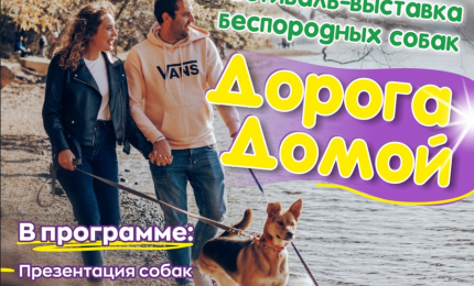 9a53de603699336048d65a3dc350694386e95cd1.png 9a53de603699336048d65a3dc350694386e95cd1.png