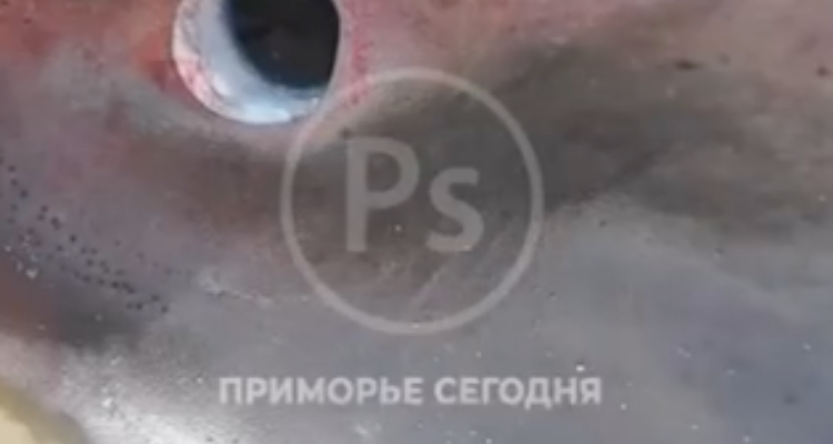 a652f3d631836c14e4113ae0a1fecd38eaa4d374.png a652f3d631836c14e4113ae0a1fecd38eaa4d374.png
