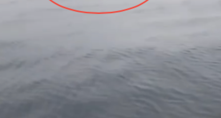 2307012b53ba8064ebd10772d3bbe356d370af93.png