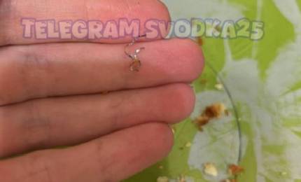 Безымянный.jpg Безымянный.jpg