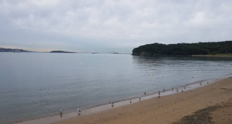 Море1.jpg Море1.jpg