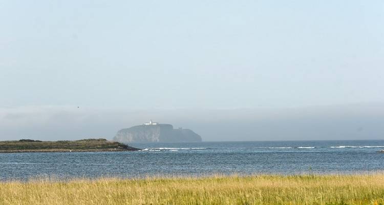 321475.jpg 321475.jpg